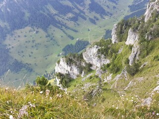 alpine meadow in the mountains Swiss