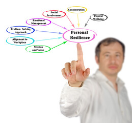 Seven Drivers of Personal Resilience