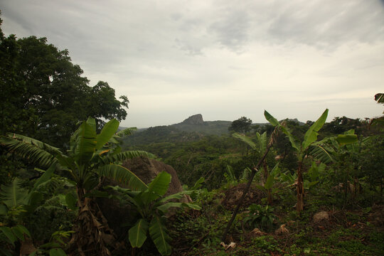 Beautiful scene of green plants and trees against a cloudy gray sky in Kabala, Sierra Leone