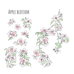 Blossoming apple tree set of decorative elements branch, blossom, leaves