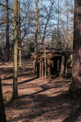 Woodland playground at Whitley Common
