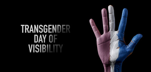 text transgender day of visibility, web banner - obrazy, fototapety, plakaty
