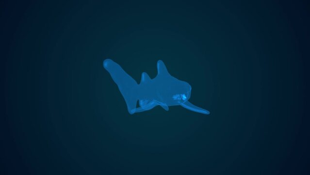 Elfin shark hologram video high tech image isolated on black background.