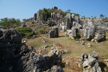 natural stone landscape in the meadow against the blue sky background