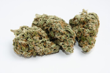 Cannabis flowers, macro view, isolated. Layout of marijuana buds on white background. Hemp growing concept, drying and curing.