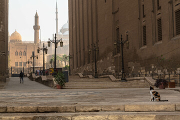 Cairo, Egypt - January 2022: A cat and a solitary figure between Sultan Hassan Mosque and Al-Rifai...