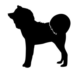 Akita Inu Black Silhouette of a Standing Dog Fluffy Dog