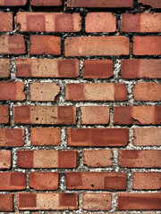 Obraz premium Red brick wall