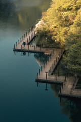 Beautiful shot of a little road on the shore of the lake near the forest