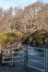 New fence and gate n Hindhead common