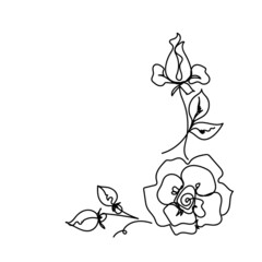 Garden rose continuous line.