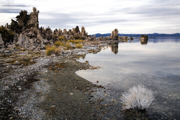 View of rocky and mossy coast of Mono Lake in the daylight