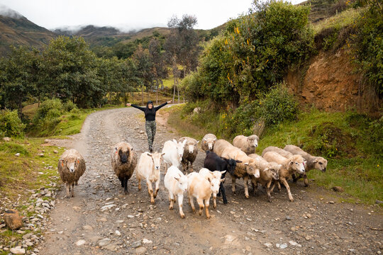 Hermosa toma de ovejas y cabras caminando por el sendero y una mujer alegre posando detrás