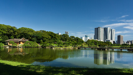 Fototapeta na wymiar Tokyo's cityscape from Hamarikyu Park in the business district of the city.