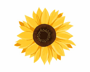 Sunflower Yellow Color Vector