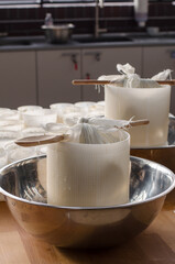 cooking homemade cheese in the workshop. Master Class