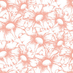 Pink white wild meadow flower seamless vector pattern background. Vintage illustration style blended backdrop with hand drawn outline flowers. Elegant botanical textural repeat for summer, spring