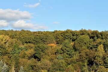 An autumn forest landscape under a blue sky