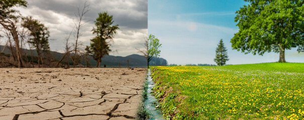 Klimawndel von Dürre zu grüner Landschaft