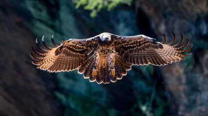 Close-up front shot of a stone eagle in flight.