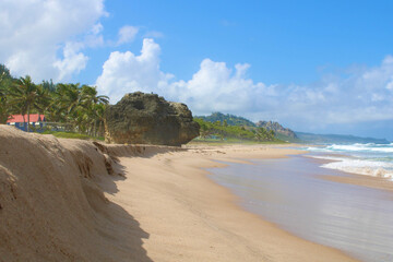 View of sunny tropical beach on the island of Barbados