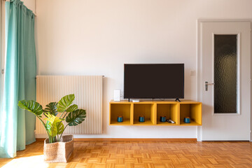 Living room wall detail with television cabinet, plant and a closed door. White walls