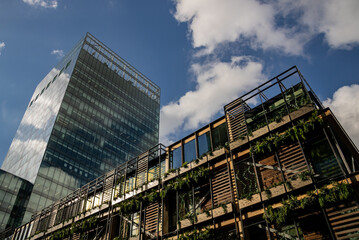 Fototapeta premium Urban Jungle