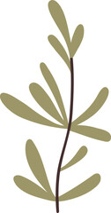 Green Plant Branch Colored Illustration