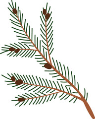 Fir Branch with Cones Colored Illustration