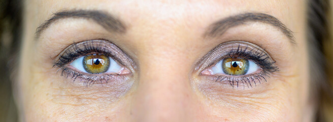 Close up on the beautiful brown eyes of a middle-aged woman - obrazy, fototapety, plakaty