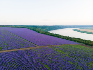 Naklejka na ściany i meble Lavender field landscape and river in the summer day.