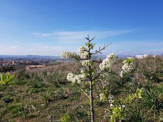 Paesaggio