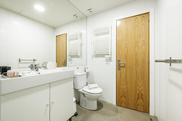 Bathroom with white towel radiator, wall-to-wall mirror, pine wood door and white porcelain sink