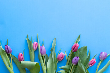 Border of pink and purple tulips on a vibrant blue background with copy space