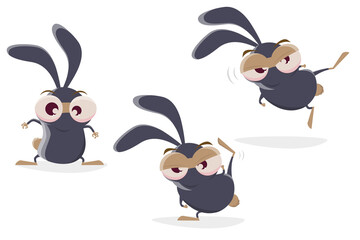 funny cartoon illustration of a ninja rabbit © shockfactor