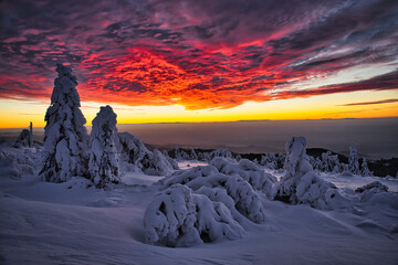Sunset sky over the snow-covered black forest in Germany