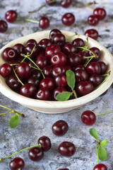Freshly gathered cherries with leaves and stalks in a plate and on grey surface background inside, fresh red cherries in dish and table, harvest of red cherries in rustic style