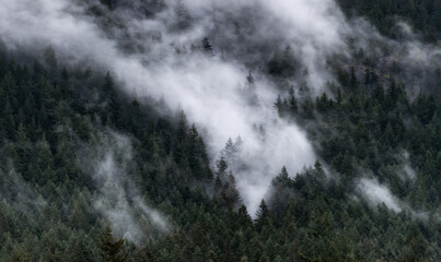 foggy mountains 