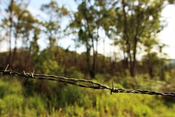 barbed wire fence