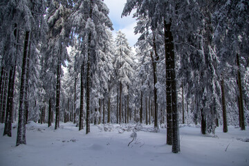 Winterlandschaft
