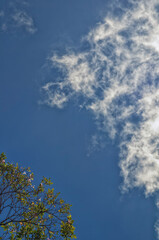 blue sky with cirrus clouds.
