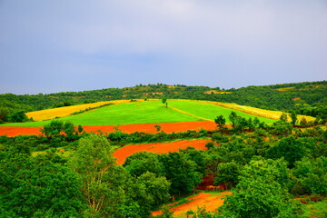 Obraz premium green fields and soil in a village