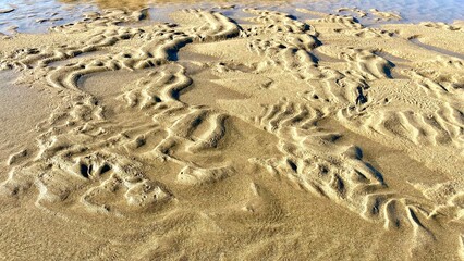 strand