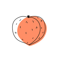 Single Peach Outline Illustration – Doodle Style Vector for Kitchen Prints and Healthy Food Projects