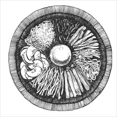Asian dishes. Hand-drawn illustration of Bibimbap. Vector. Ink drawing. 