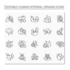 Human internal organs line icons set. Health problems diagnostic. Prevention of diseases. Medical treatment.Health concept.Isolated vector illustration.Editable stroke