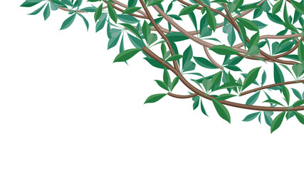 熱帯地方の植物をイメージした木の枝の背景_16:9