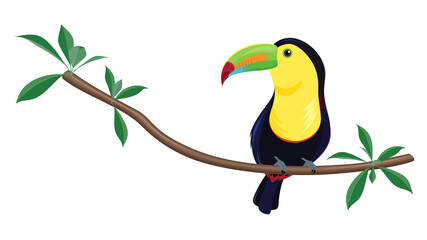 サンショクキムネオオハシのイラスト