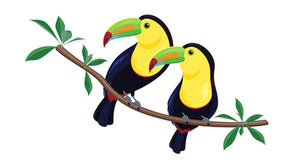 サンショクキムネオオハシのイラスト