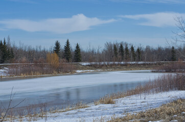Fototapeta na wymiar Pylypow Wetlands on the Last Day of Winter
